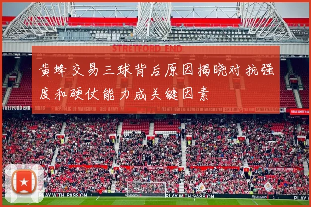 黄蜂交易三球背后原因揭晓对抗强度和硬仗能力成关键因素